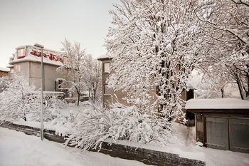 Nordurey Guesthouse Рейкявик Екстериор снимка